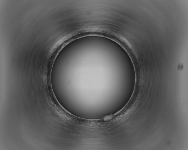 X0000090770922200708031649