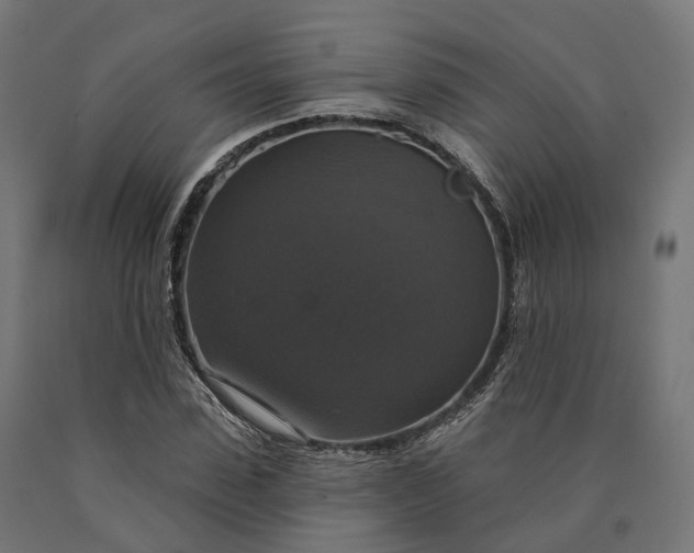X0000090770923200708031649