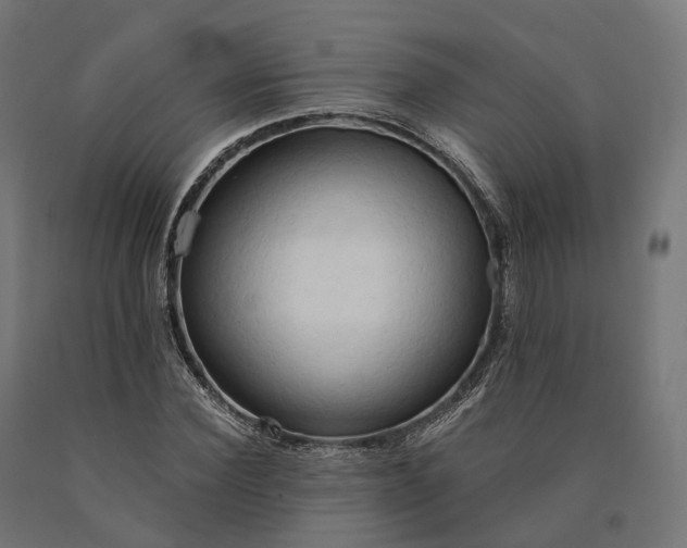 X0000090770924200708031649