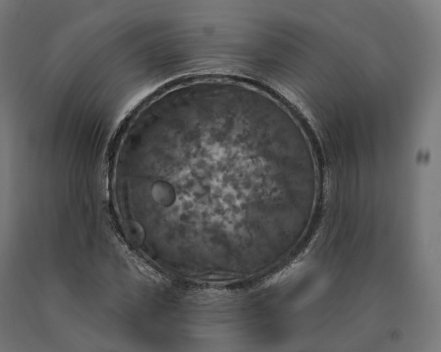 X0000090770925200708031649