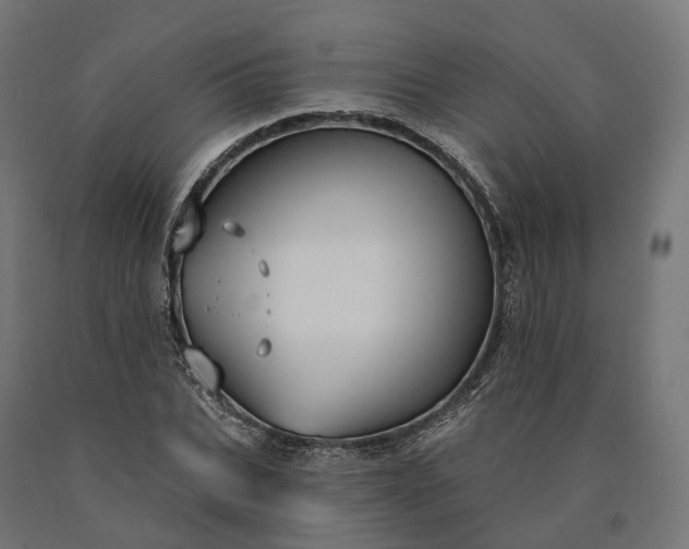 X0000090770927200708031649