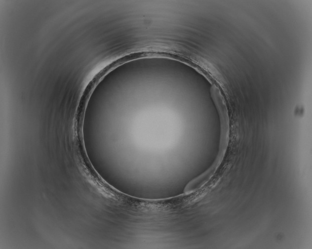 X0000090770928200708031649