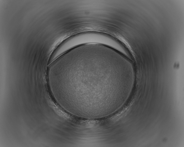 X0000090770930200708031649