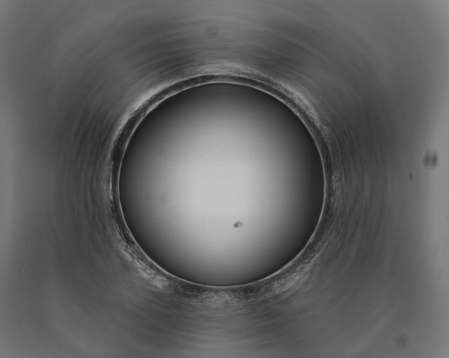 X0000090770931200708031649