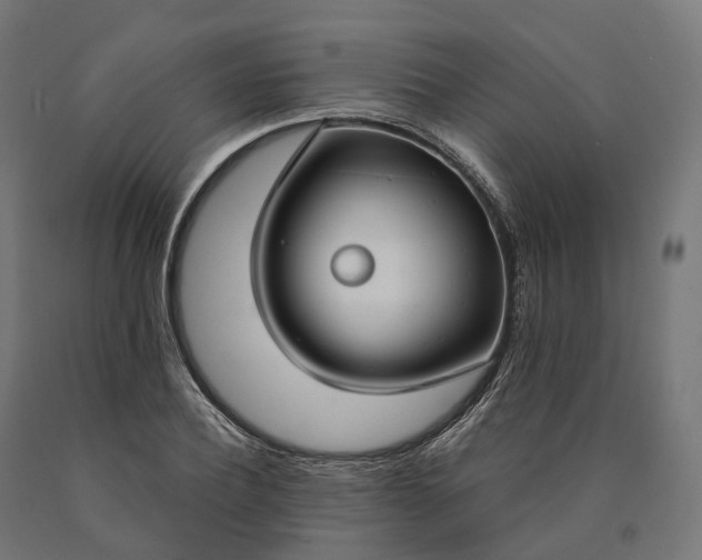X0000090770932200708031649