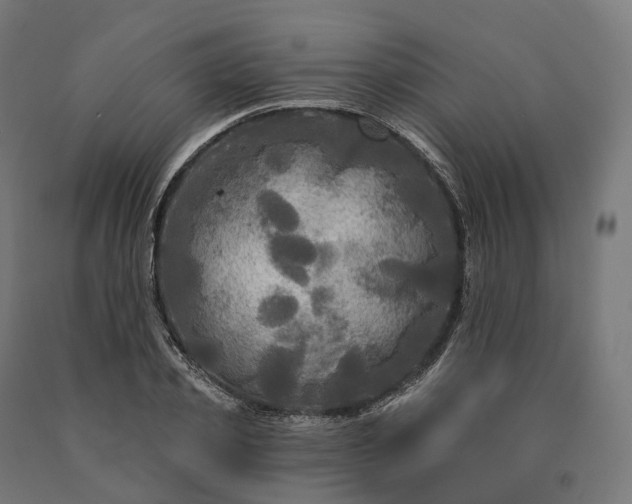 X0000090770933200708031649