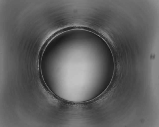 X0000090770934200708031649
