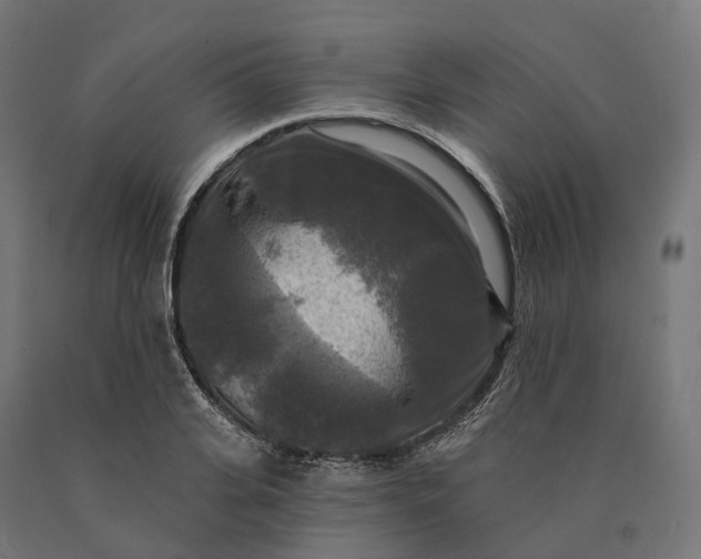 X0000090770935200708031649