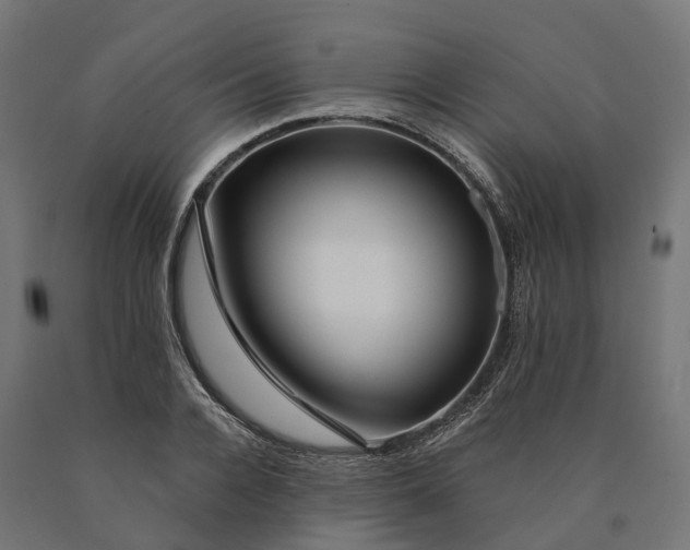 X0000090770936200708031649