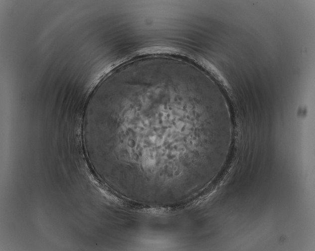 X0000090770937200708031649