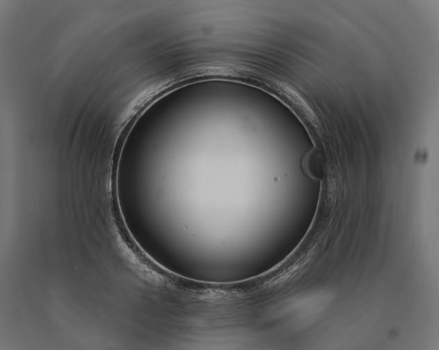 X0000090770938200708031649