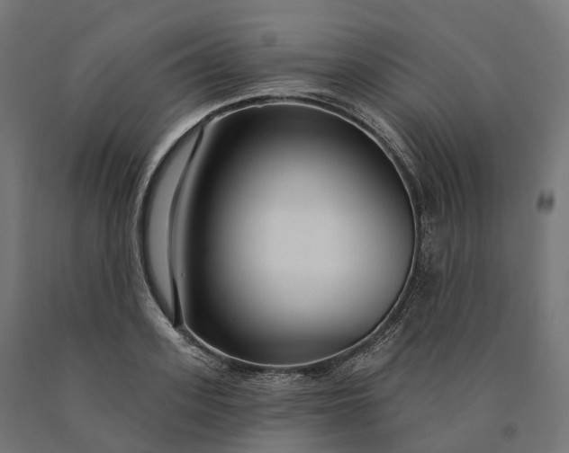 X0000090770939200708031649