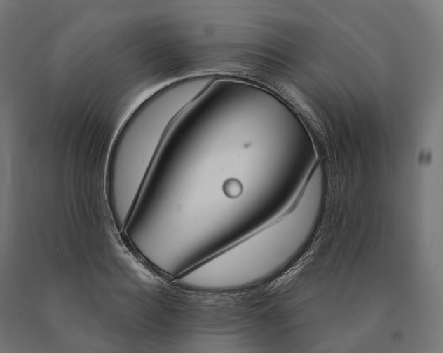 X0000090770940200708031649