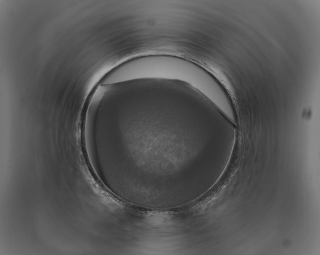 X0000090770944200708031649