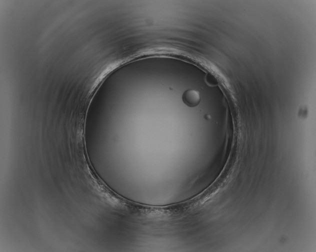 X0000090770945200708031649