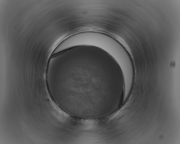 X0000090770946200708031649