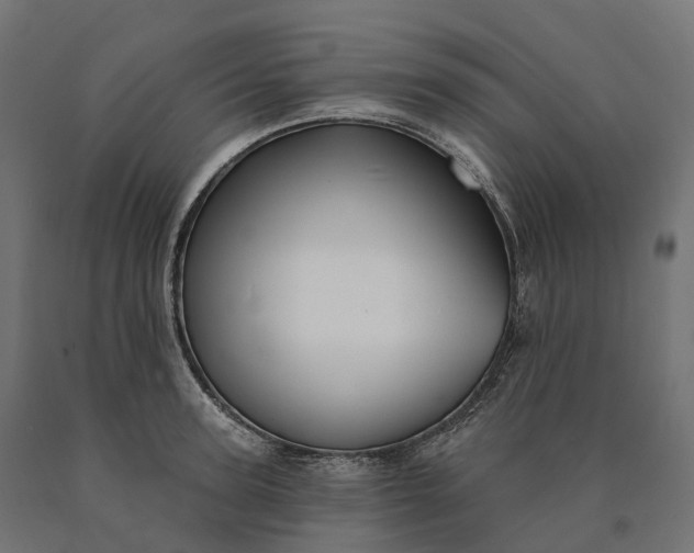 X0000090770947200708031649