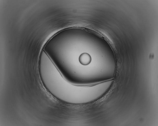X0000090770948200708031649