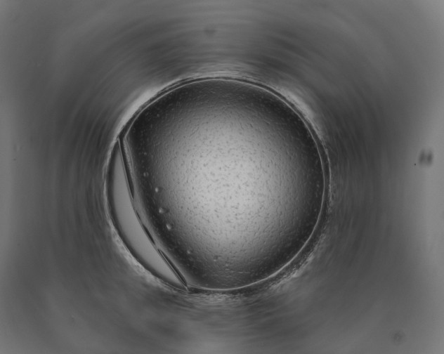 X0000090770949200708031649