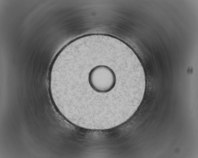 X0000090770950200708031649