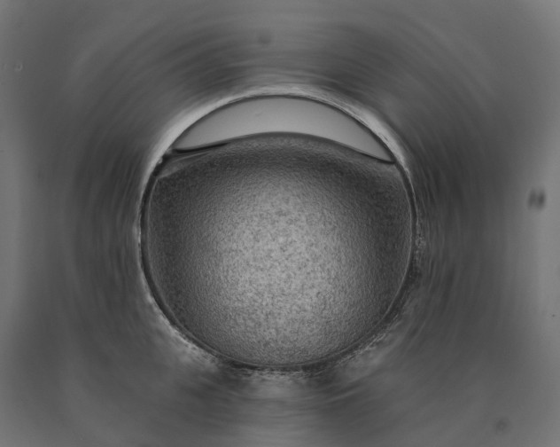 X0000090770951200708031649