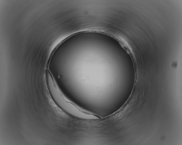 X0000090770952200708031649