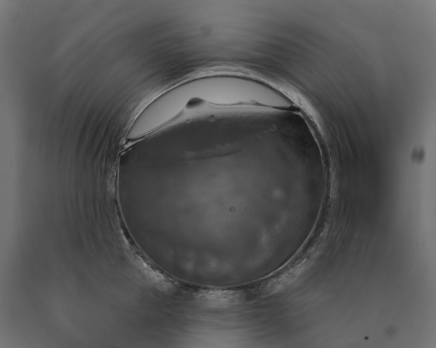 X0000090770953200708031649