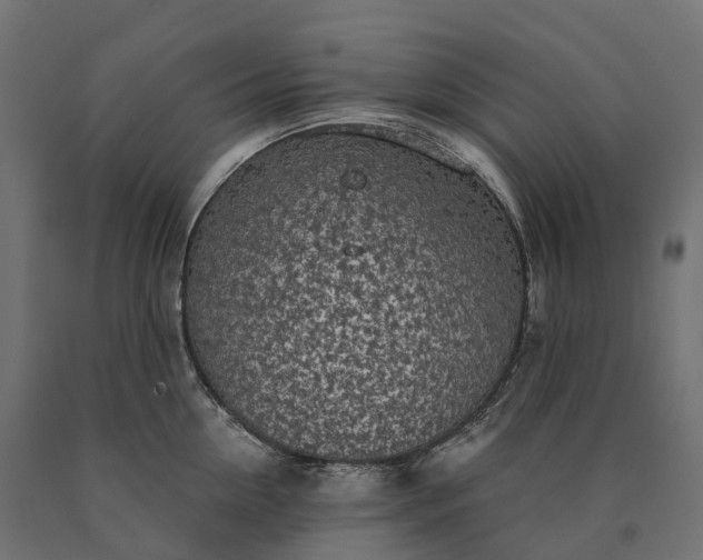 X0000090770954200708031649