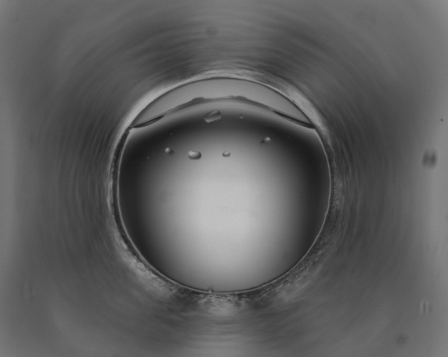 X0000090770955200708031649