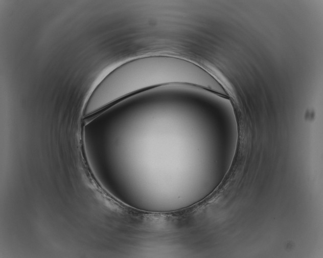 X0000090770956200708031650