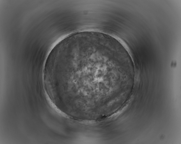 X0000090770957200708031650