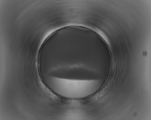 X0000090770958200708031650