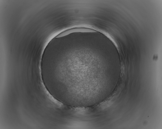 X0000090770959200708031650