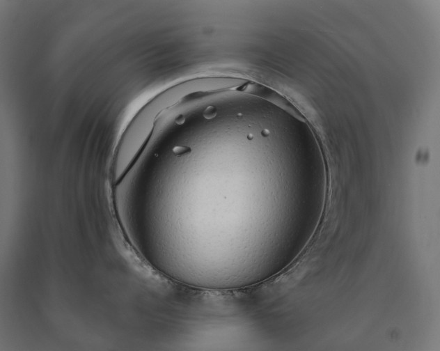 X0000090770960200708031650