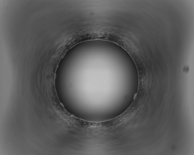 X0000090770961200708031649