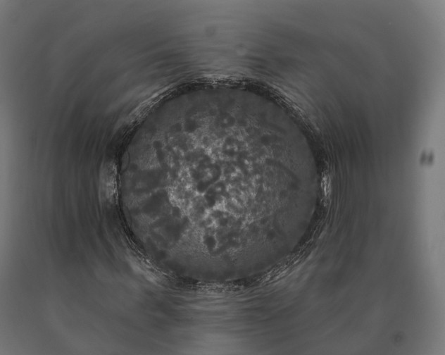 X0000090770963200708031649