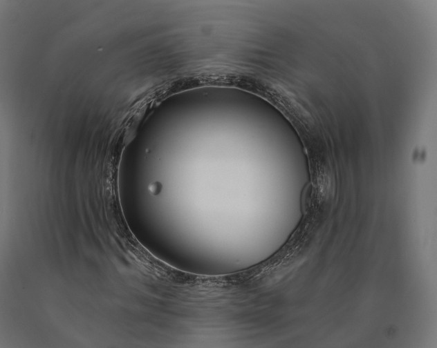 X0000090770964200708031649