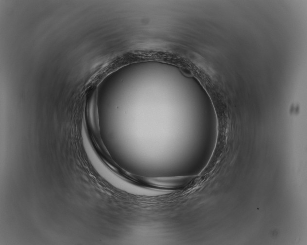 X0000090770965200708031649