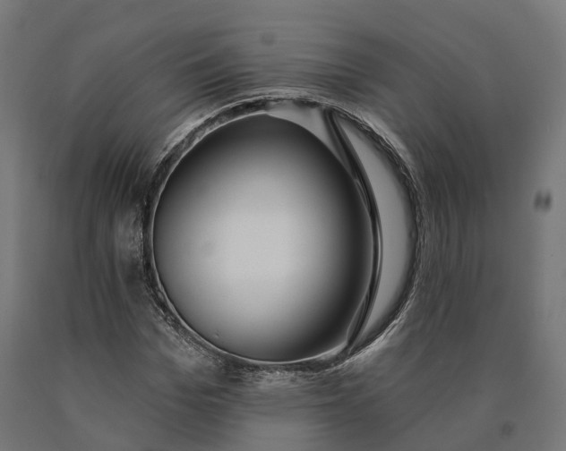 X0000090770969200708031649
