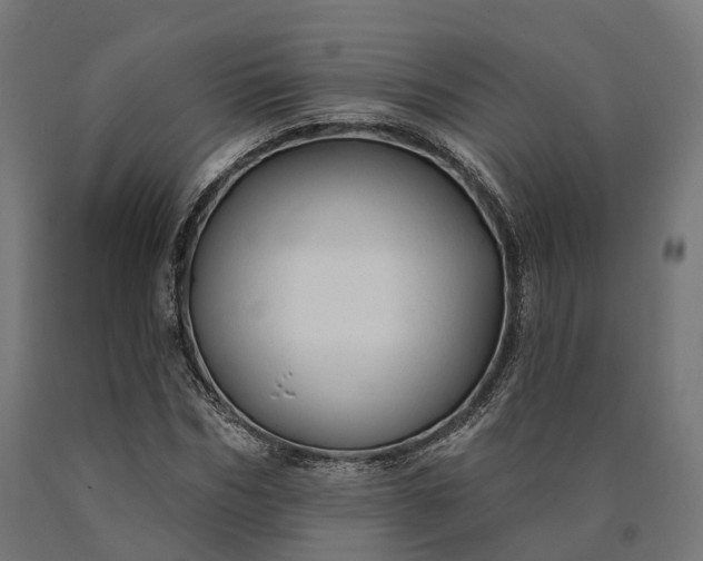 X0000090770970200708031649