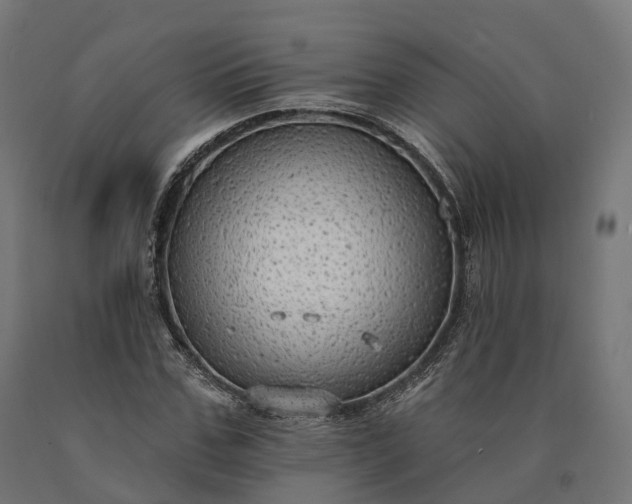 X0000090770971200708031649