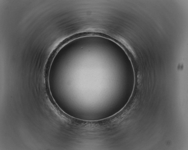 X0000090770972200708031649