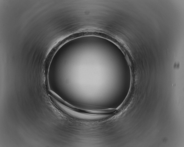 X0000090770973200708031649
