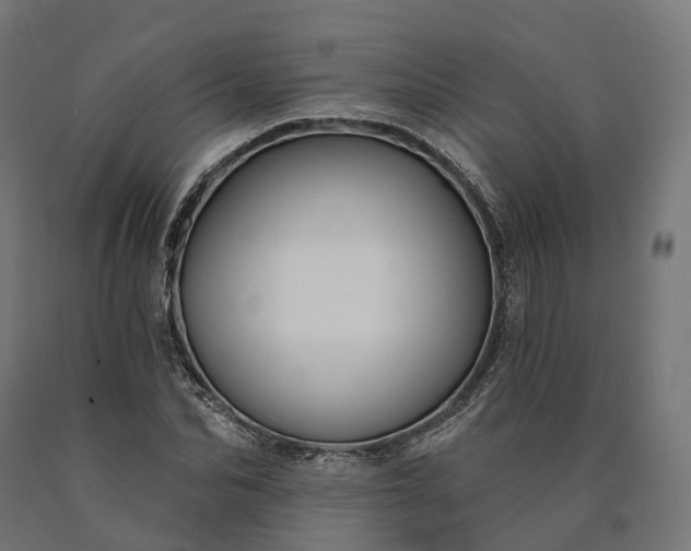 X0000090770974200708031649