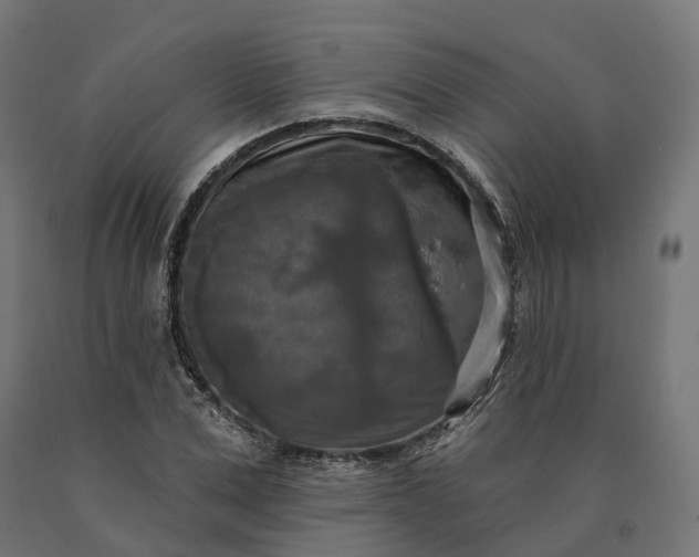 X0000090770975200708031649