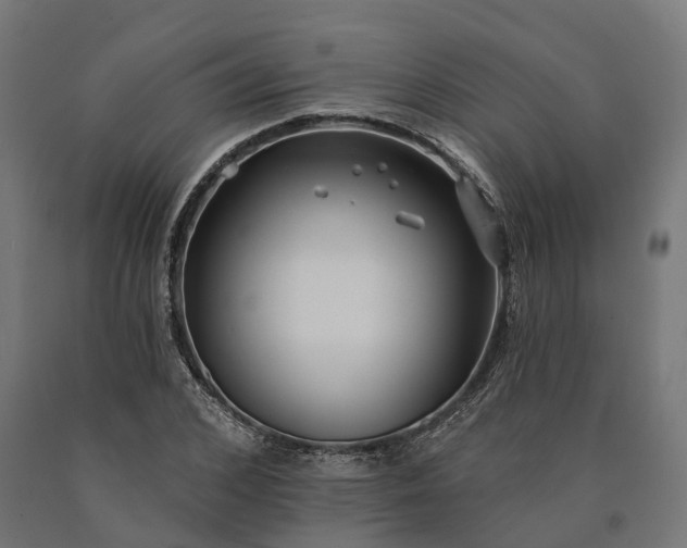 X0000090770976200708031649