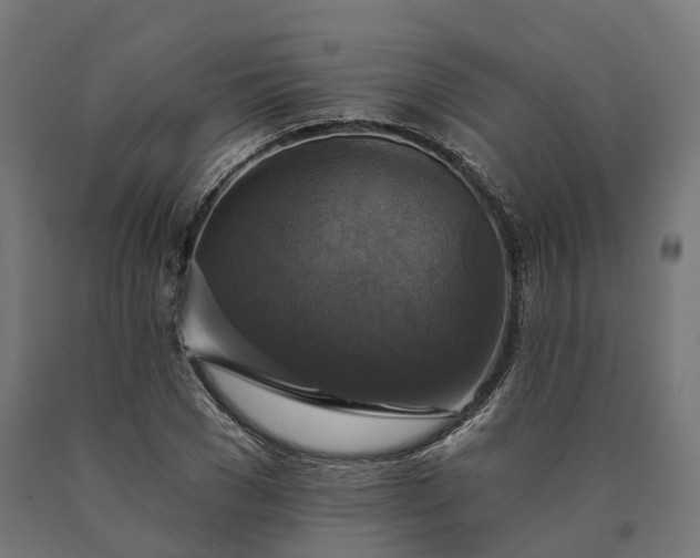 X0000090770977200708031649
