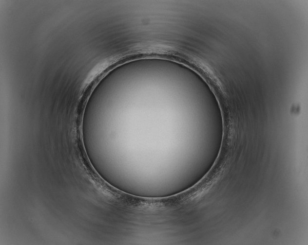 X0000090770978200708031648