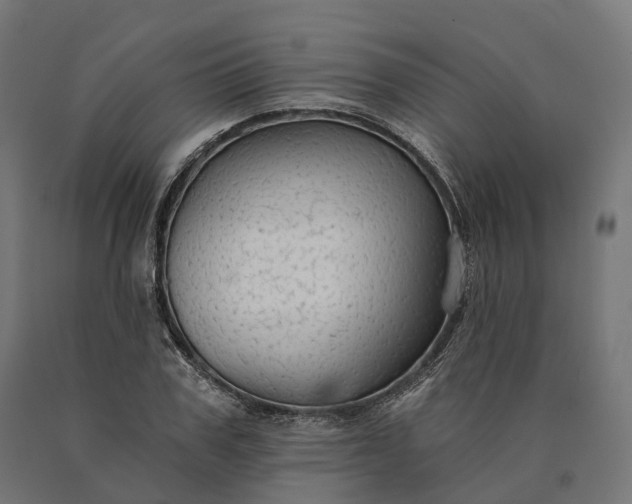 X0000090770979200708031648