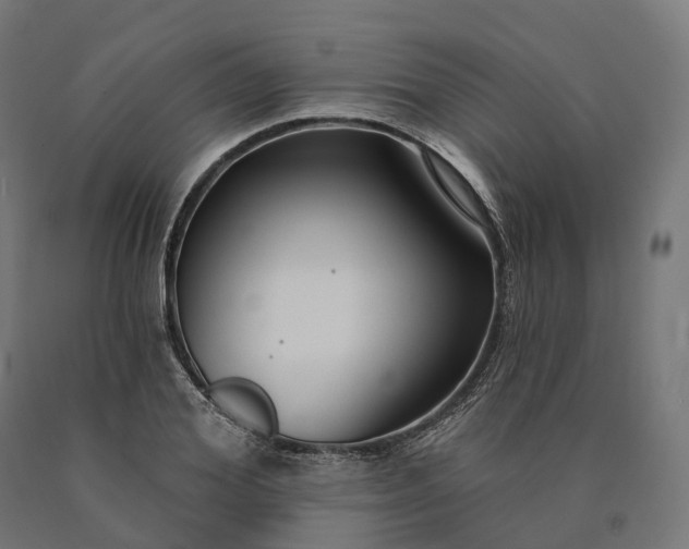 X0000090770980200708031648